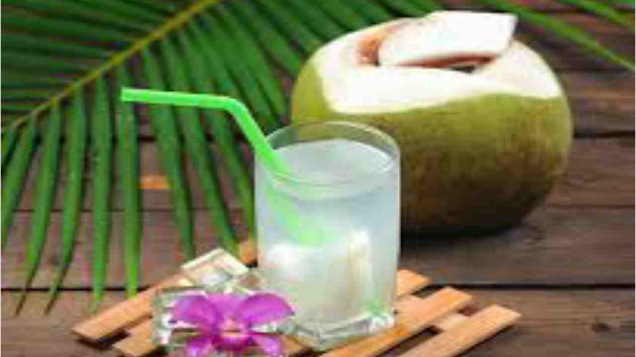 Coconut water during pregnancy